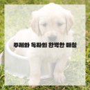 글쓰기의 첫걸음 이미지