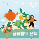 귤꽃향기 이미지