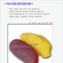 명문의료기