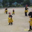 삼포초등학교 이미지