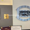 바디짐헬스 이미지