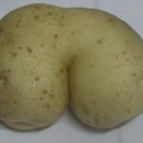 궁댕이