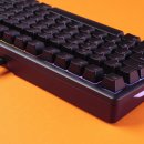 글로리어스 | "단돈 6만원" 키보드 유목민 탈출 성공, 글로리어스 GMBK 키보드 실물 후기