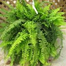 공기좋은집 이미지