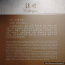 동양악기 - 서구 둔산남로 46 | 상하이 음악대학 동양악기박물관(东方乐器博物馆) 구경후기(3) 기타등등 [25년10월, 상하이 3차 2-4]