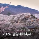 황금좌대 | 광양가볼만한곳 2026 광양매화축제 날짜 개화시기 3월축제 국내기차여행