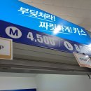 두리비어 이미지