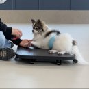 똑독트레이닝스쿨 이미지