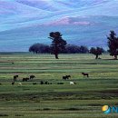 노스텔지어 이미지