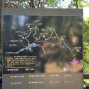 제주도 외돌개 황우지해안 선녀탕 산책 후기