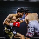 월드 복싱 체육관 이미지