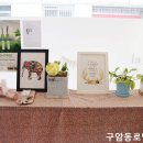 다미인뷰티 - 창원시 마산회원구 | 다미인뷰티