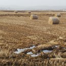 사목1리 이미지