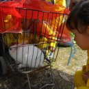 구지농장 이미지