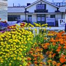 힐링정원 이미지