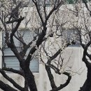 그날이오면 이미지