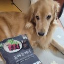 주식회사 국개대표 이미지