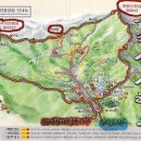 축령산아침 이미지