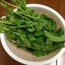 신봉농장 이미지