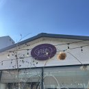 중앙동199 | 원주 빠트 중앙시장 베이커리 카페 내돈내산 미니후기