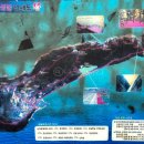 하화도 꽃섬길 민박 이미지