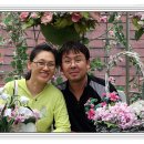 청산농원 이미지