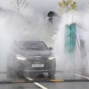 장수약품 이미지