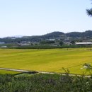 계전2리 이미지