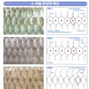 어류도감 이미지