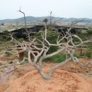 느티나무농원 이미지