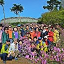 웅동초등학교 이미지