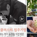씨엔씨커피
