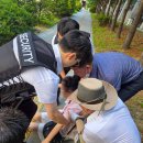 충북대학교병원 이미지