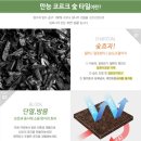 탄화코르크 이미지