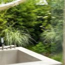 월정느루 이미지