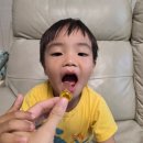 아기 오메가3 산패 걱정없는 지니어스뉴 톡캡스 후기