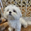 모찌네호캉스 이미지