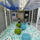 능곡로 | 경기도 시흥 키즈카페 다이나믹온 대형 실내 액티비티 5세(만3세) 방문 후기