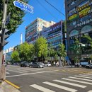 서울하이안치과의원 | 서울 하이안치과 노원점/노원 치과 추천 후기