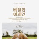 이든목장 이미지