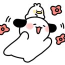 댕댕박사 이미지