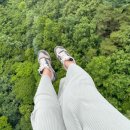 짚핑코리아 | [후기]주말 나들이로 딱! 대둔산짚핑 후기(feat. 충남 금산인듯 전북 완주인듯)