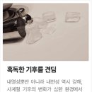 조*만 네이버블로그