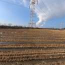 교로1리 마을회관 이미지