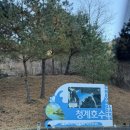 자작나무숲 주차장 | 포천캠핑장 추천 청계호수 자작나무 숲 캠핑장 스파카라반 후기