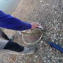 k3바다낚시터 이미지