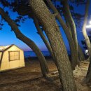 노을숲캠핑장 이미지