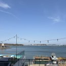 미스터멍 | 대부도 미스터와이 101호 내돈내산 후기