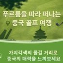 The BBs JEJU 이미지