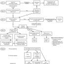 Chronic Lower Extremity Ischemia - Hematologic studies, Cardiac & Care braovascular evalution 이미지